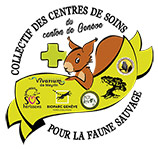 Logo du collectif des centres de soins
