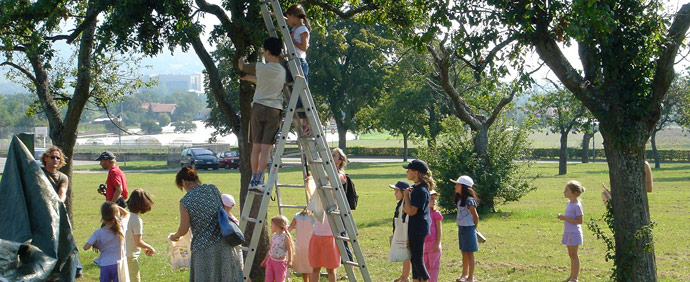 Sensibilisationdes enfants dans les vergers