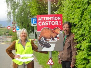 Panneau Castor à Verbois