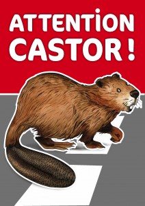 panneau-castor