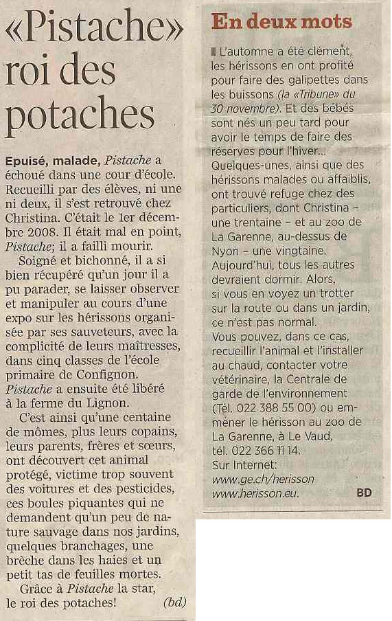 article pistache roi des potaches