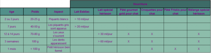 Tableau nourriture bébé hérissin