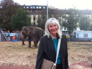 Elephants