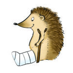 Hérisson blessé/malade - Christina Meissner