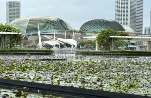 Durian muséum